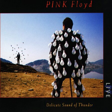 Pink Floyd-Delicate Sound of Thunder (Live 1988) [Digisleeve]  < 2020 Sony CD Japan (Компакт-диск 2шт) roger waters david gilmour